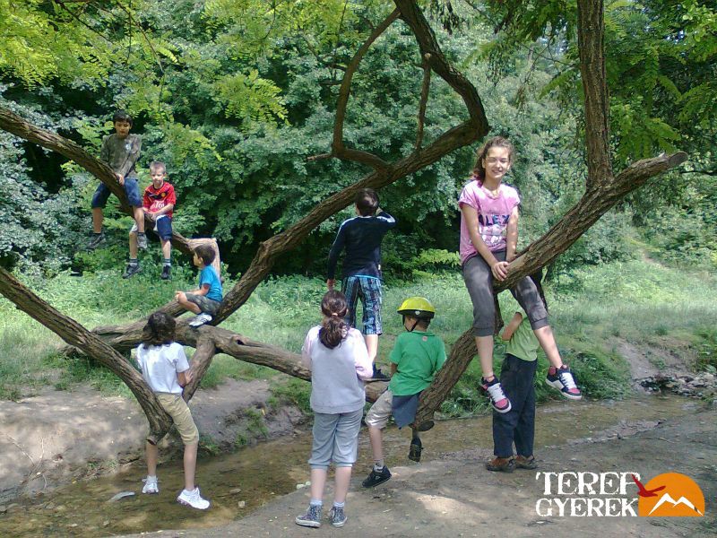 Gyerek edzés, sport