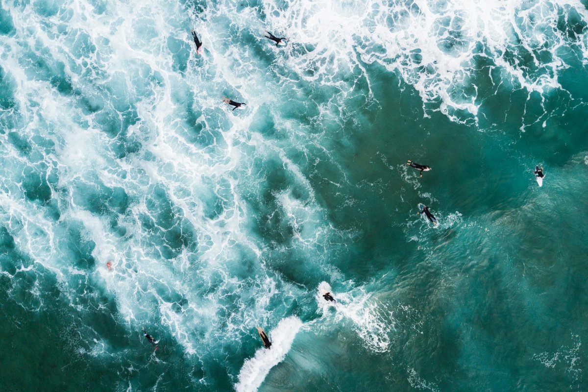 pexels wendywei surf wave ocean terepeuta