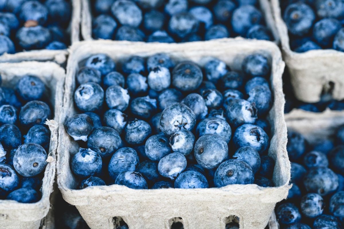 blueberry vitamin