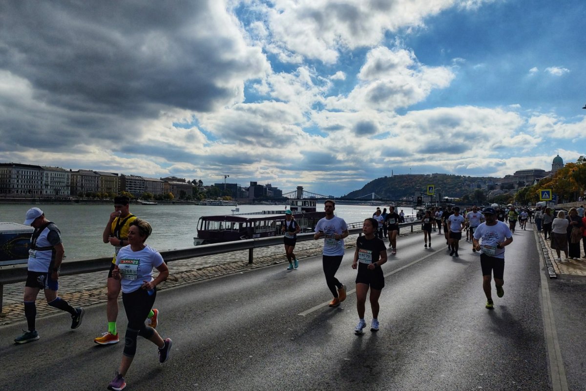 maraton regenerácio terepeuta terepsport lead